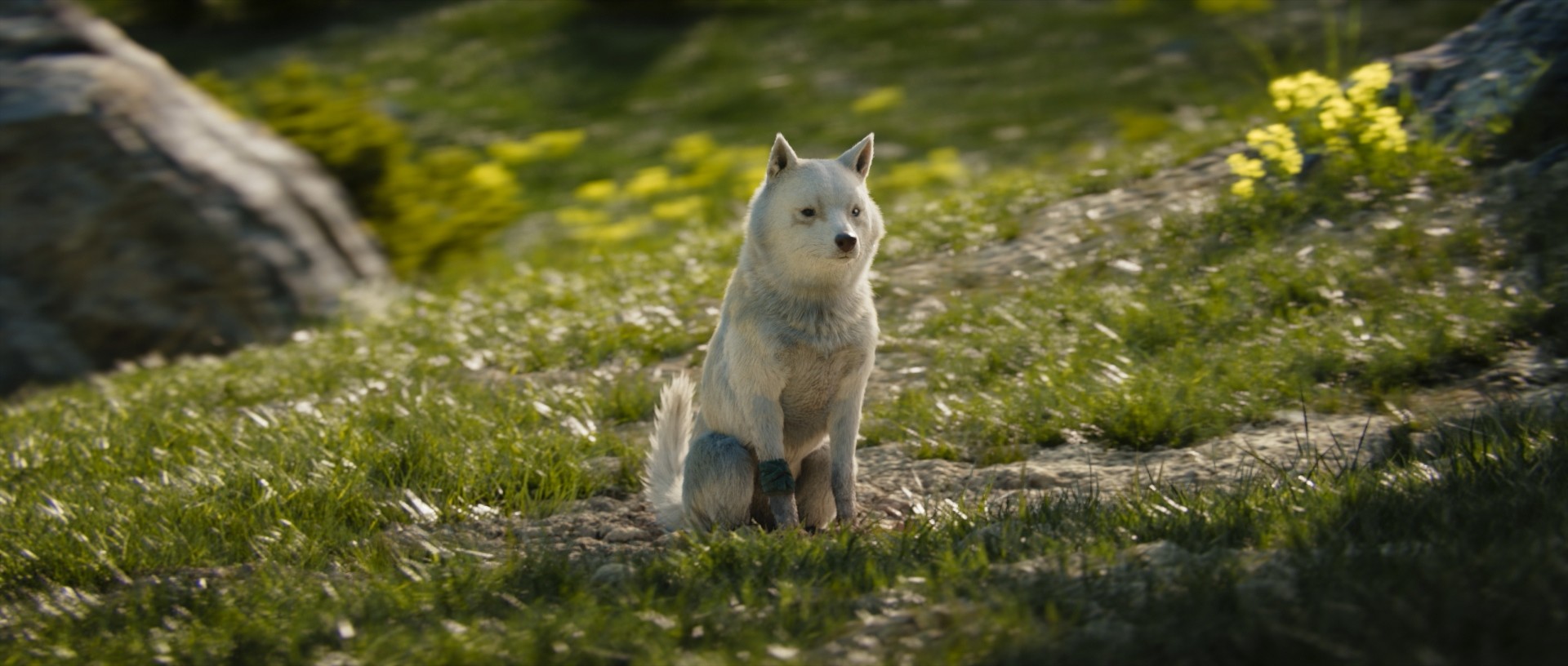 Final Fantasy XV - Imagen 8